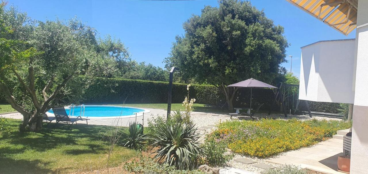 Sunny Estate
